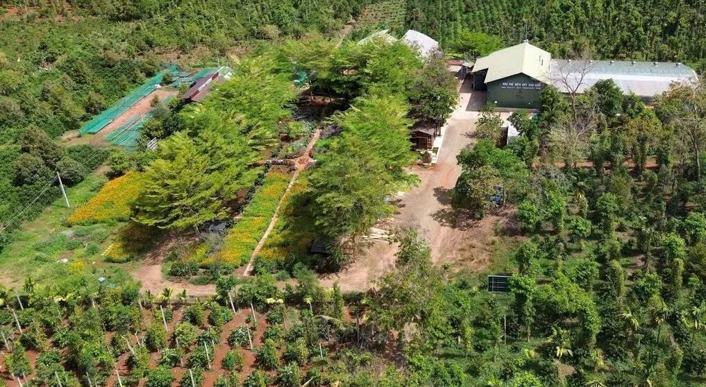 Trồng cà phê xen canh hướng đến giảm phát thải